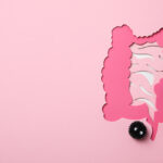 Przepuszczalność jelit – co jest faktem, co marketingiem, i jak to rozumieć bez popadania w skrajności